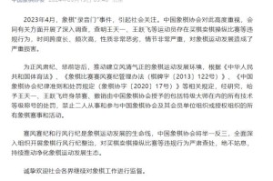 开云娱乐-王天一、王跃飞两位象棋特级大师终身禁赛