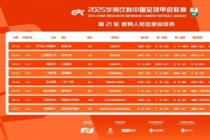 开云官网-中甲第21轮裁判名单：铁人vs红狮，佛山vs广州豹两场启用VAR