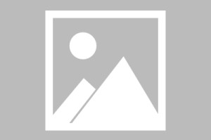 开云在线-日本U21名单变动：神户后卫山田海斗退出 补招大学生球员盐川樱道